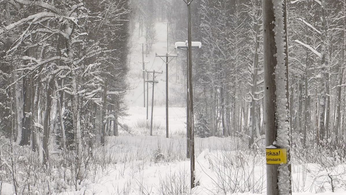 sähkölinja metsässä johtoaukko