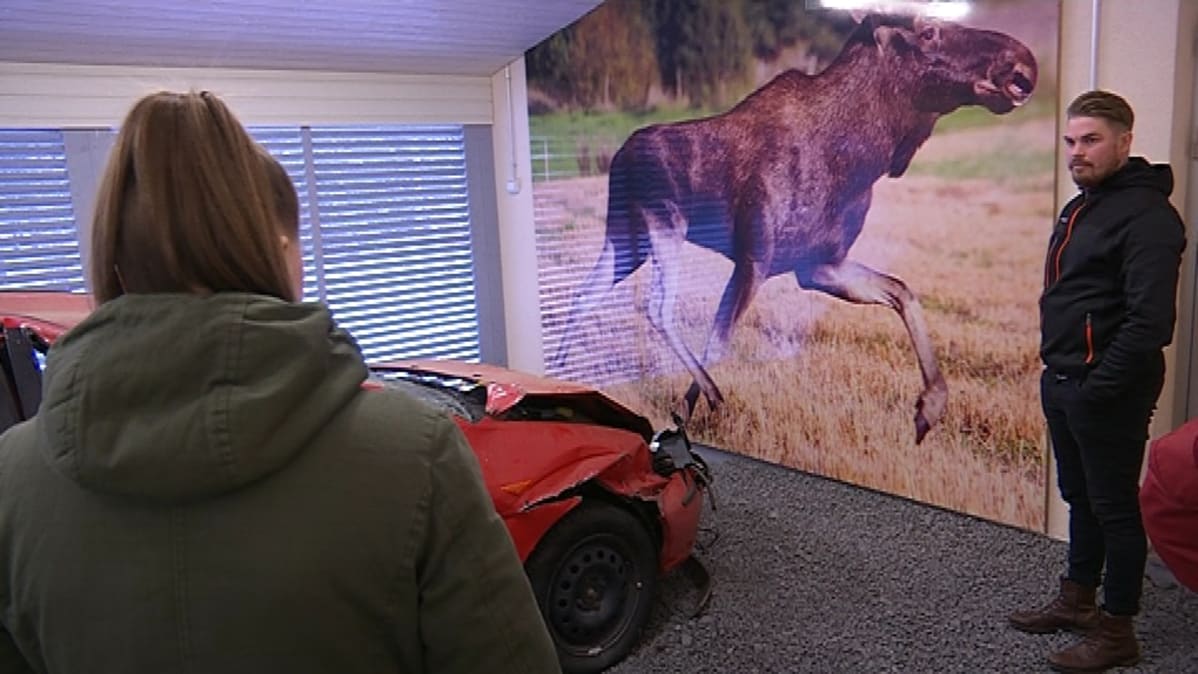 Hirvi ja hirvikolarin kokenut auto. Liikenneopettaja Niko Pekkala ja oppilas.