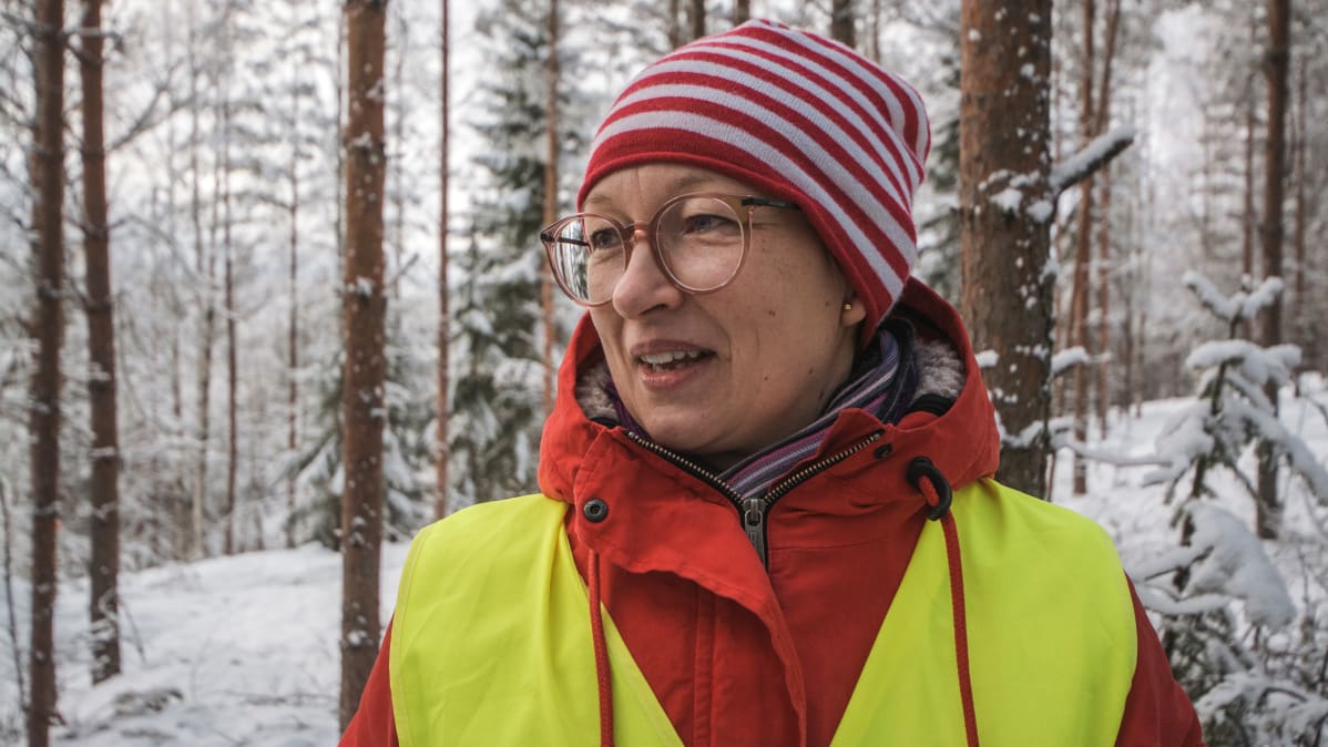 Metsäalan asiantuntija.