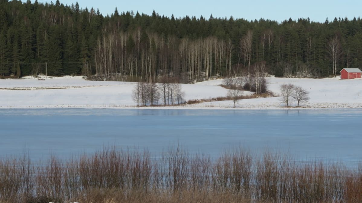 Järvimaisema