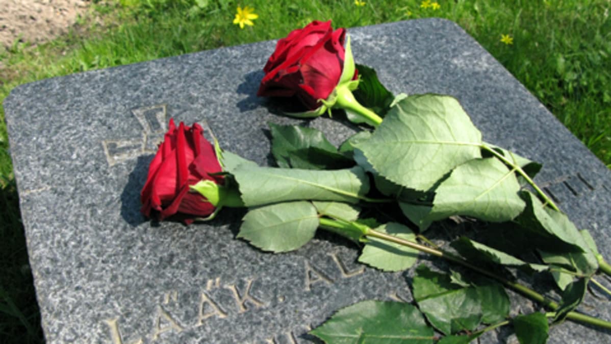 Punaisia ruusuja sodassa kaatuneen haudalla Kaatuneitten muistopäivänä 16.5.2010.