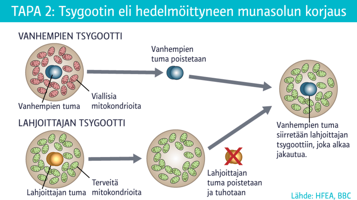 grafiikka