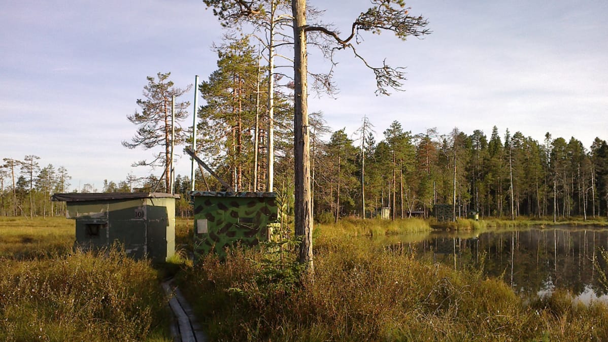 Kuvauskoju lammen rannalla