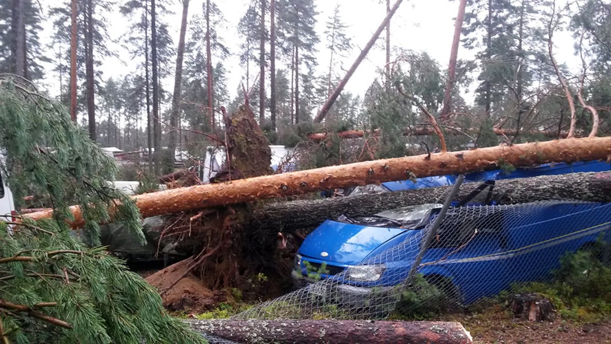 Trombi kaatoi puita autojen päälle Saarijärven Ahvenlammen leirintäalueella torstaina.