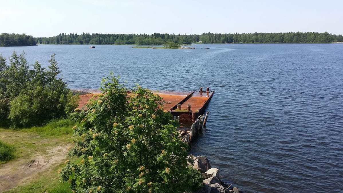 Friisin saari Kokkolassa