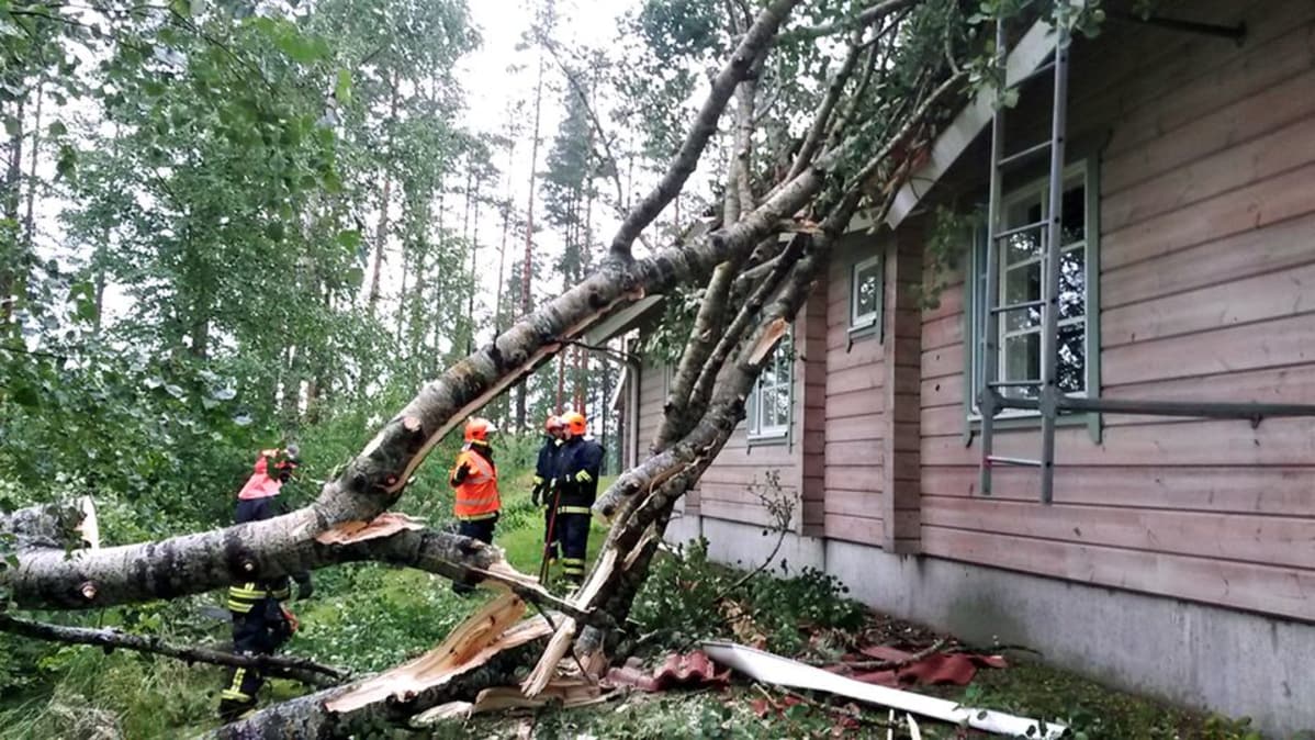 Ukkosmyrsky Mäntyharjulla kaatoi puita.