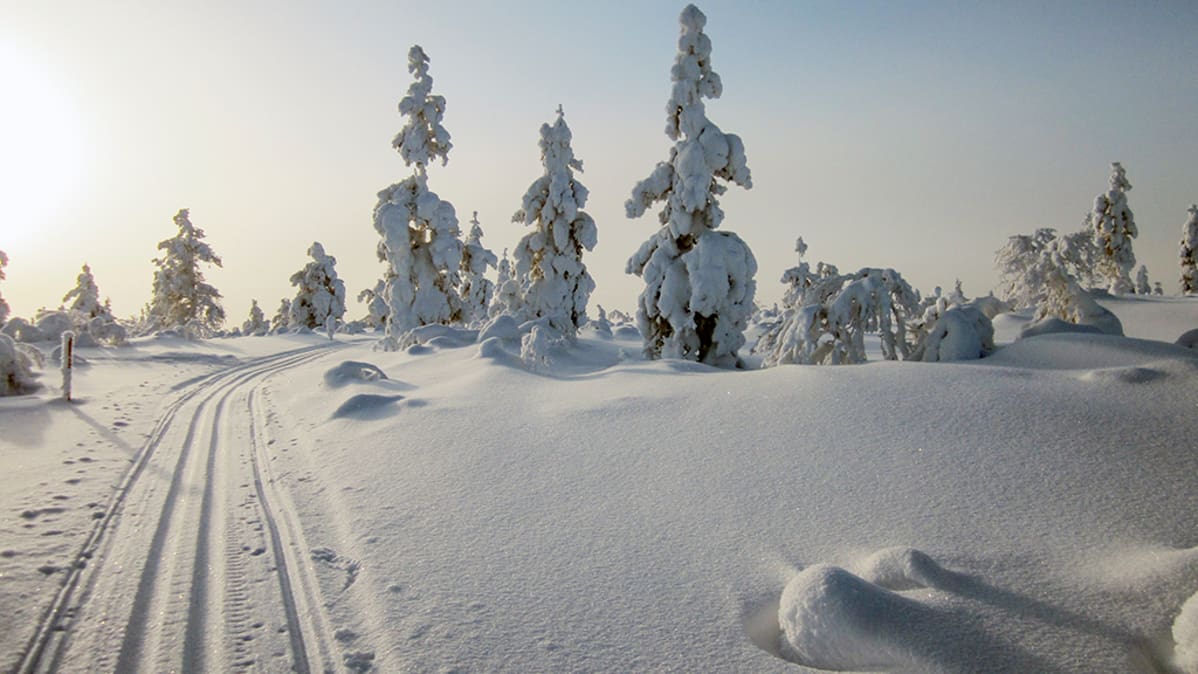 Talvinen maisema Lapissa.