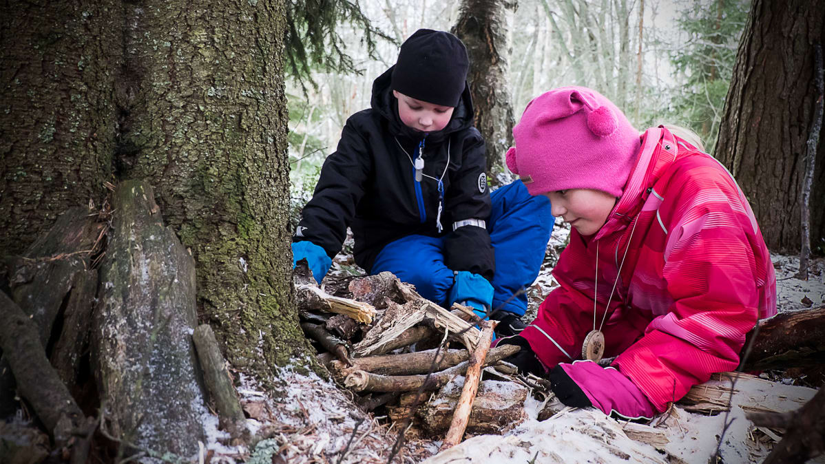 Lapset tarkastavat metsään rakentamaansa eläintenruokintapaikkaa.