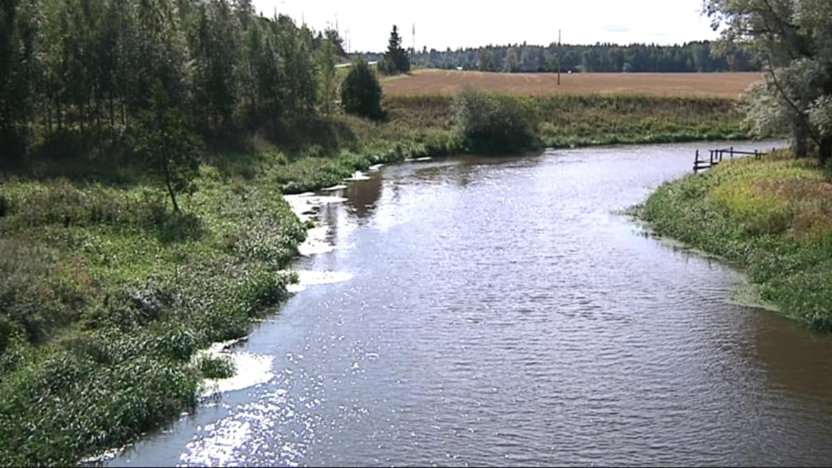 Loimijoki virtaa peltojen keskellä