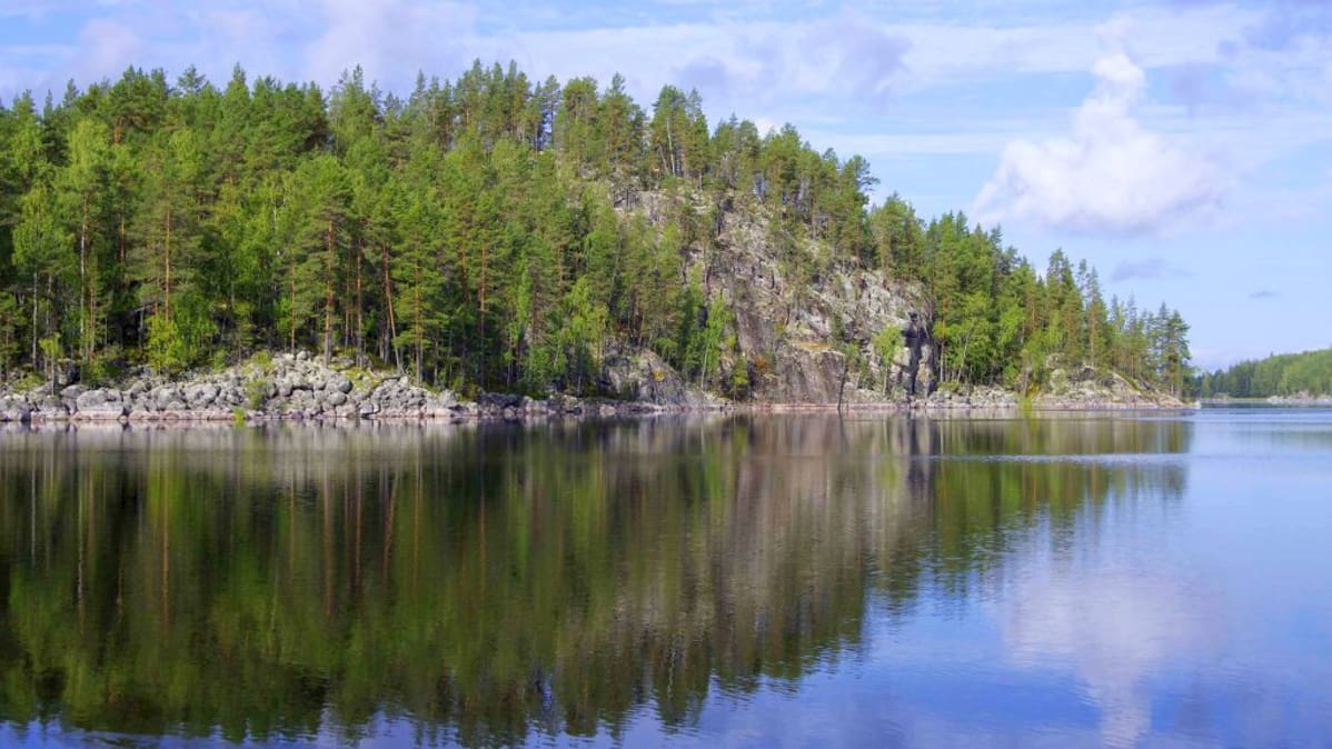 605 henkilöä mielii lammaspaimeneksi Koloveden maisemiin Etelä-Savoon.