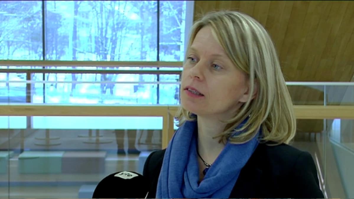 Tutkija Sari Sulkunen