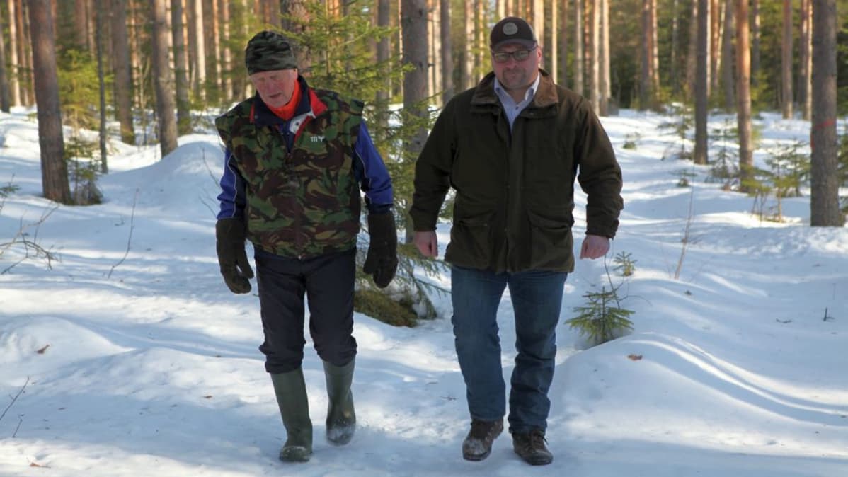 Vilho Pollari ja Toni Hirvonen peräänkuuluttavat parempaa tiedottamista EU:n metsoprojetissa.