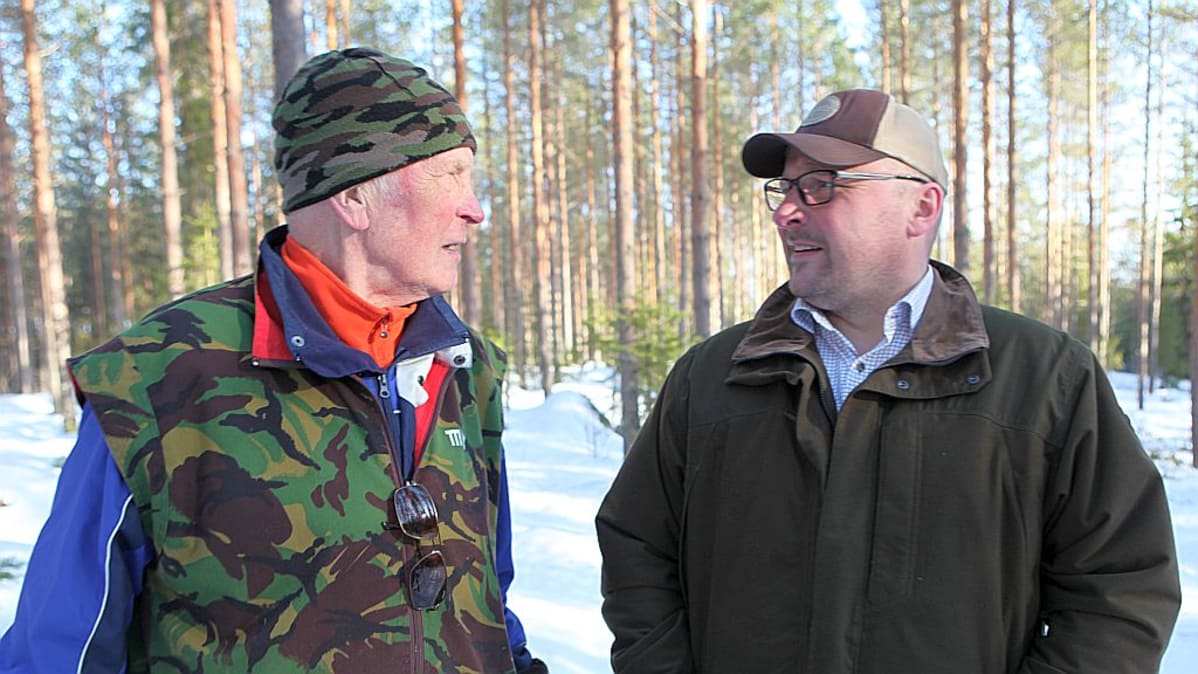 Vilho Hirvosen (vas.) mukaan metsokohu tuli kuin puskista. Toni Hirvonen ei halua paljastaa metsojen kiinniottoaikaa.
