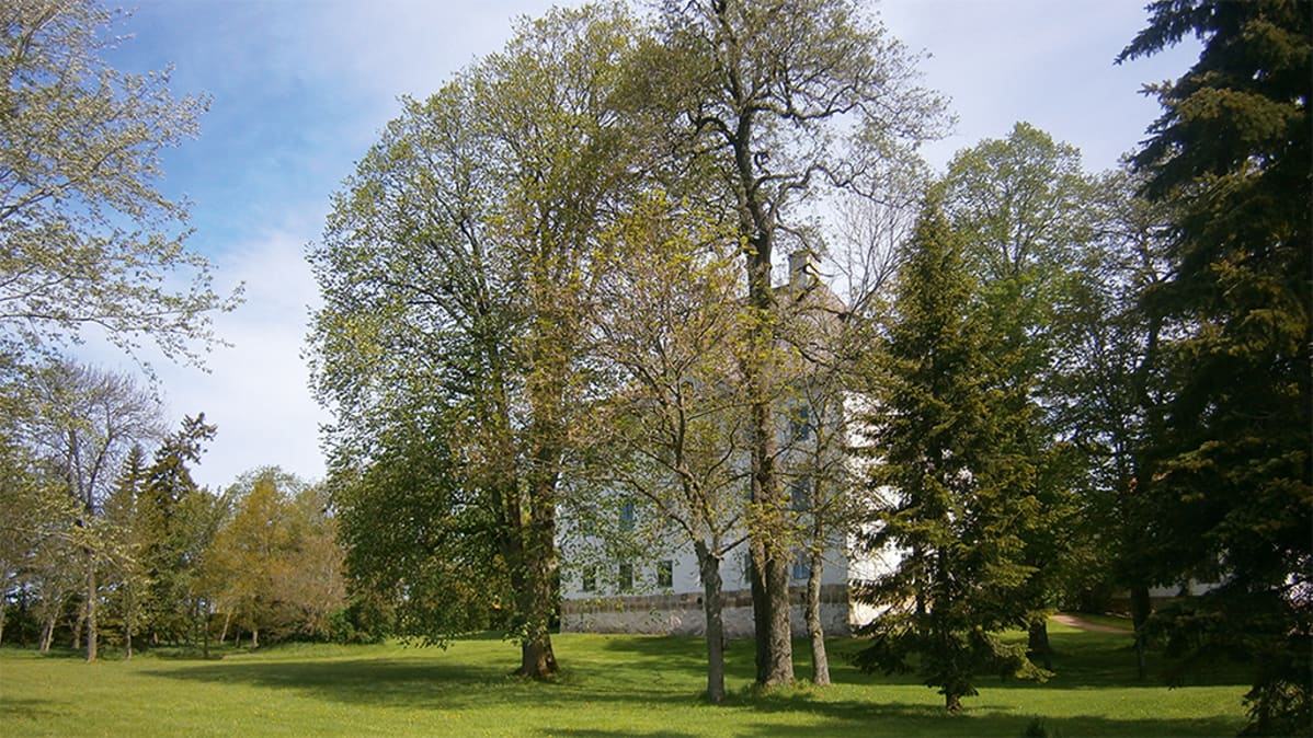 Louhisaaren kartanolinna