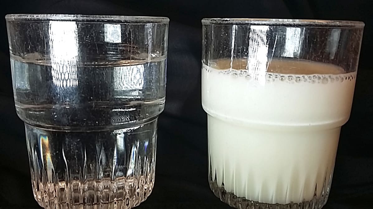 Lasillinen vettä ja maitoa