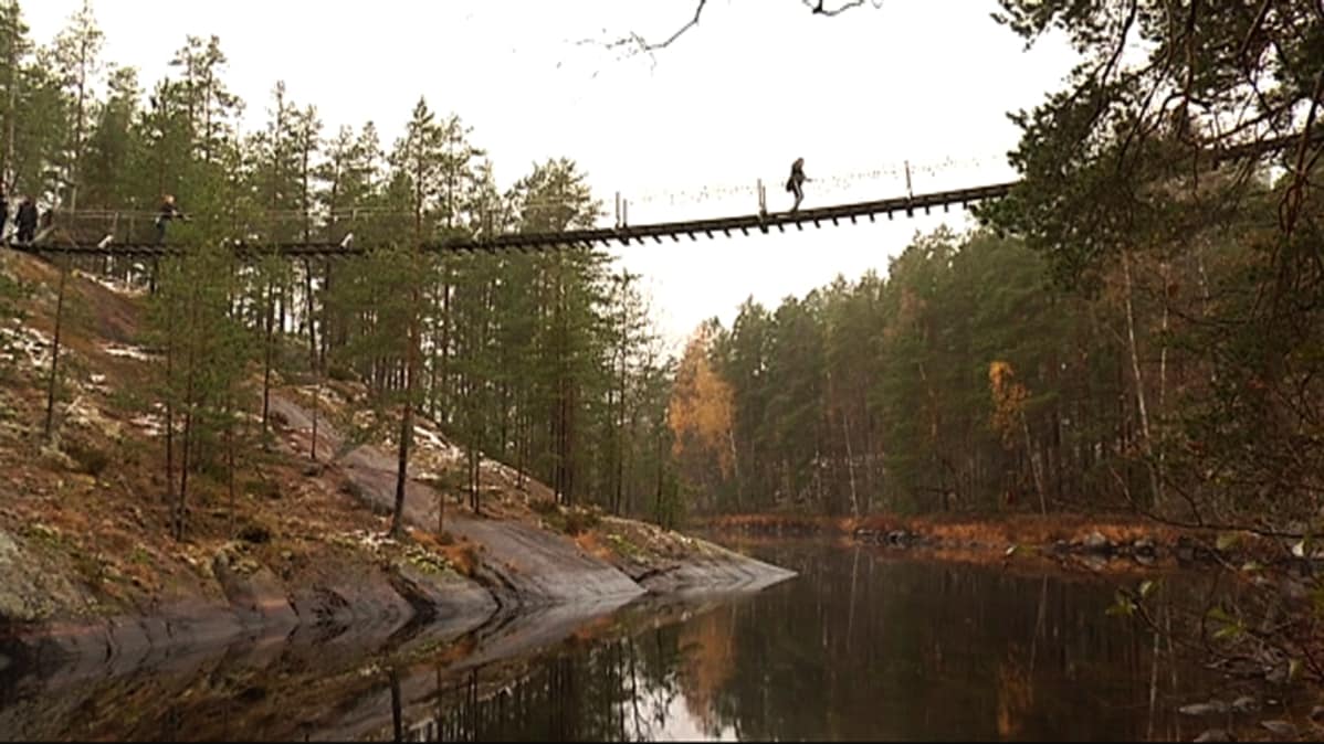 Lapinsalmen riippusilta Repoveden kansallispuistossa