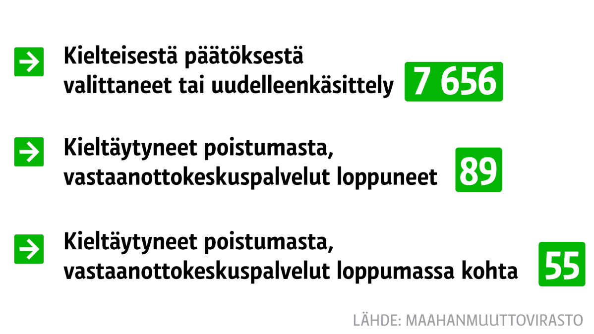 Grafiikka