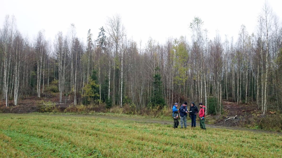 Avalon Mineralsin ja Nortec Mineralsin Avalon Mineralsin ja Nortec Mineralsin alihankkijan GeoConsultingin tiimi kartoittaa Satulinmäen kultaesiintymää Hämeessä.