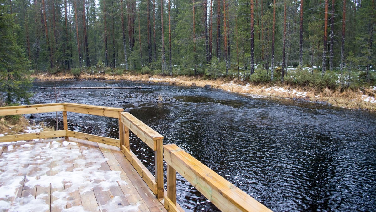 Hossan Lihapyörteen kalastuslaiturille pääsee myös rullatuolilla