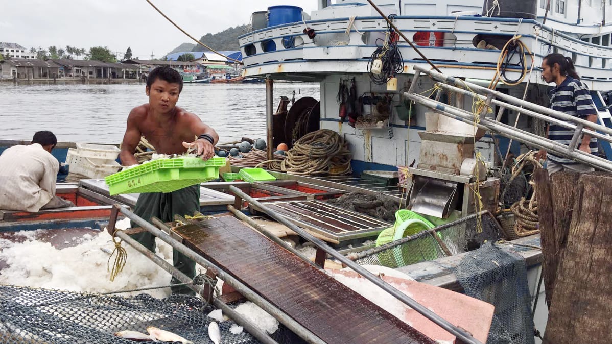 Khanomilaisen perheyrityksen kalastuslaivan miehistössä on sekä thaimaalaisia että myanmarilaisia.