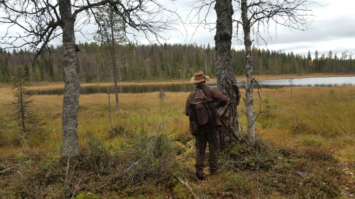 Metsästäjä suolammen lähellä puiden vieressä Kuusamossa.
