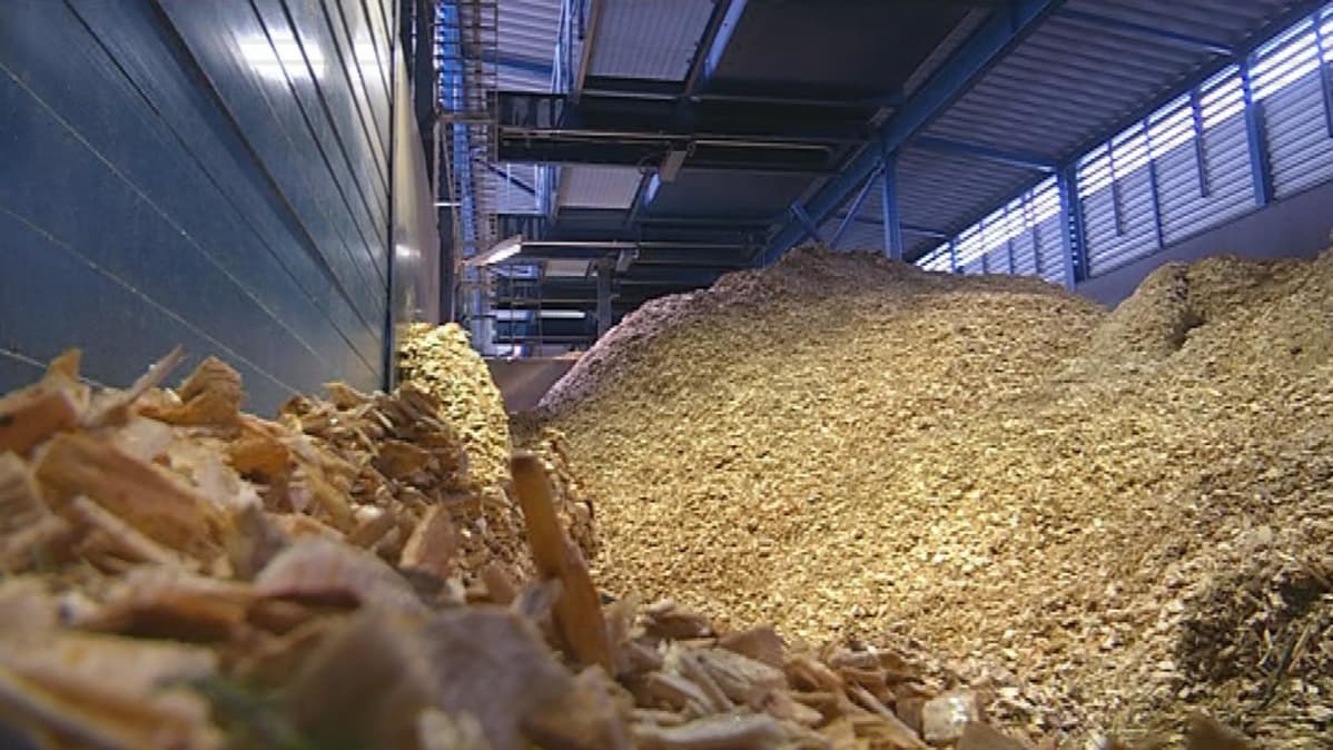 Tuoretta haketta KAuhavan lämpölaitoksen hallissa odottamssa polttoa