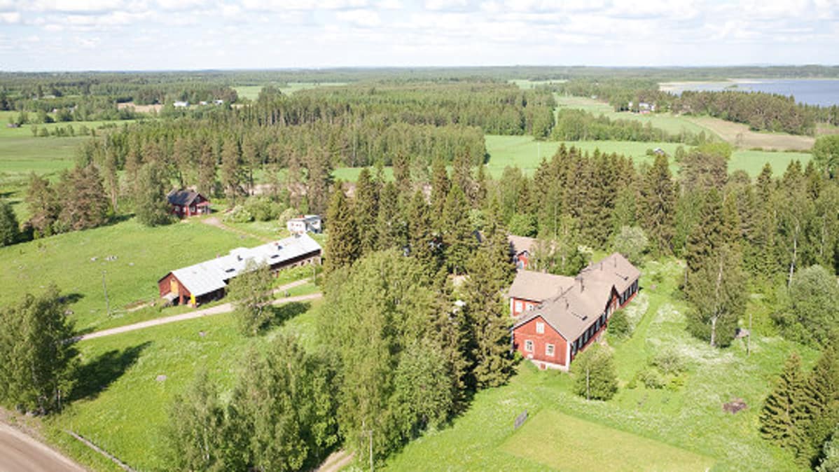 Muurajan tila Outokummussa, josta Saikkoset tekevät mummokommuunin.