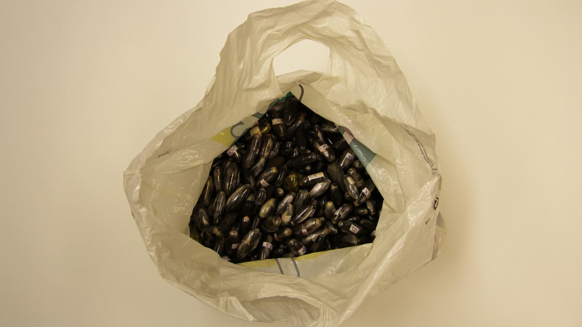 Hasis-löytö.