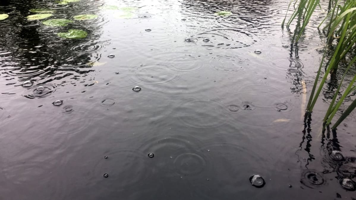 Kuplia veden pinnalla.