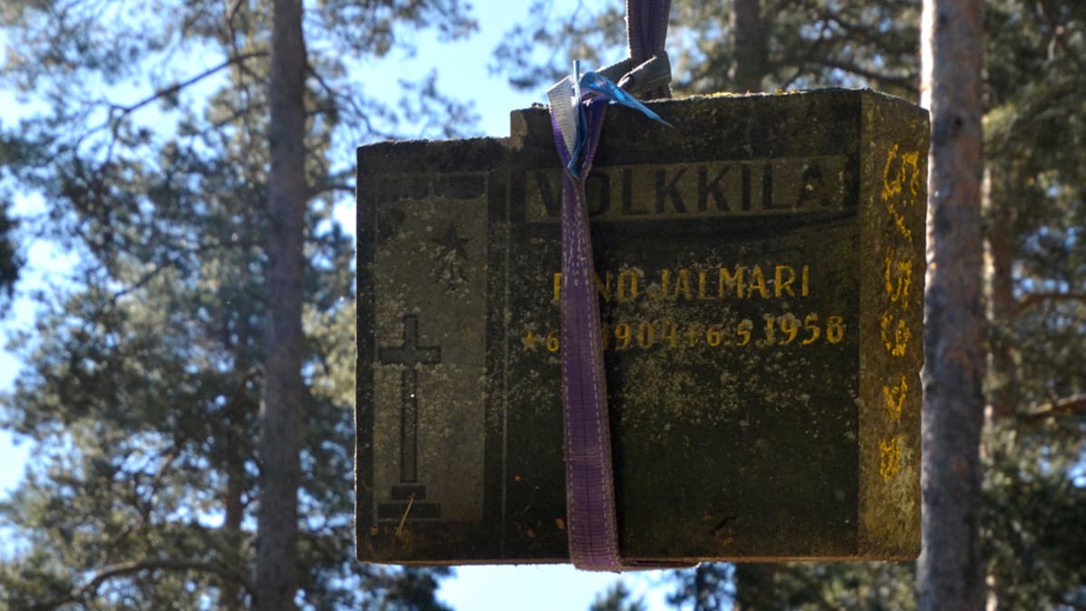 Vanhaa hautakiveä lastatataan kuorma-auton lavelle varastoon kuljetusta varten.