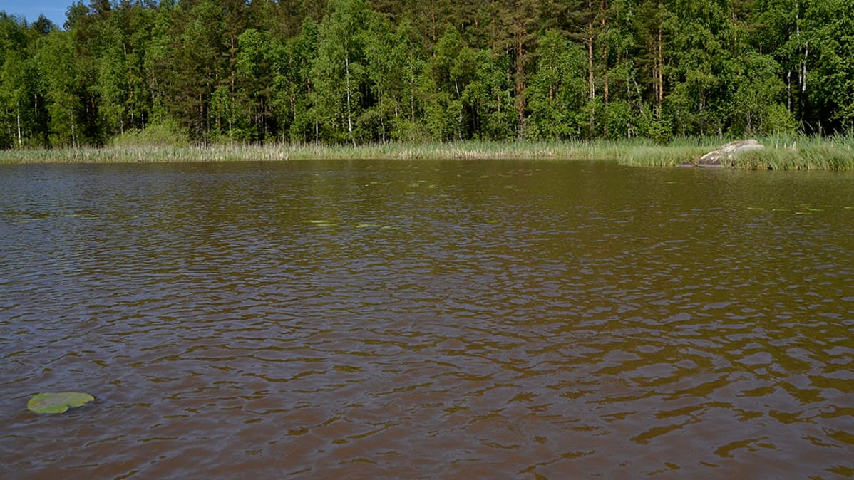 Lemin Nukkalamella kokeillaan mutapalloja veden puhdistuksessa.