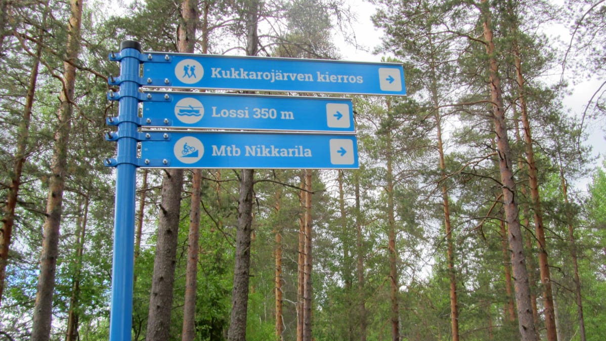 Sinisiä reittimerkkejä metsässä.