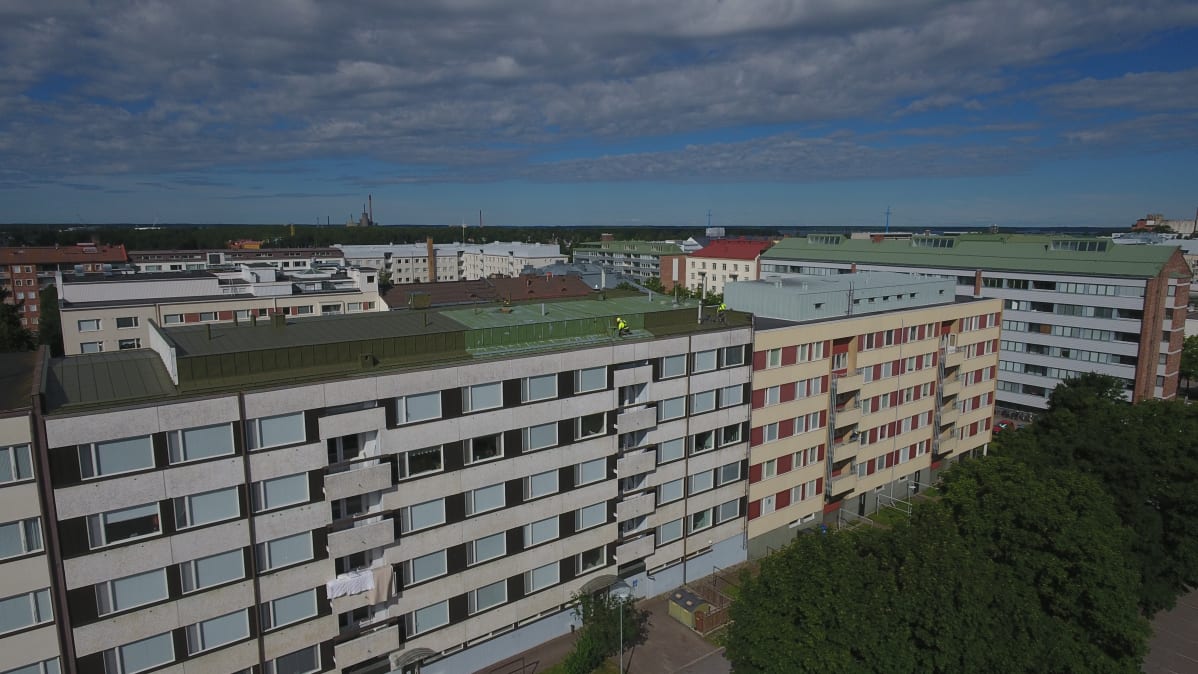 Katon maalausta Vaasan keskustassa.