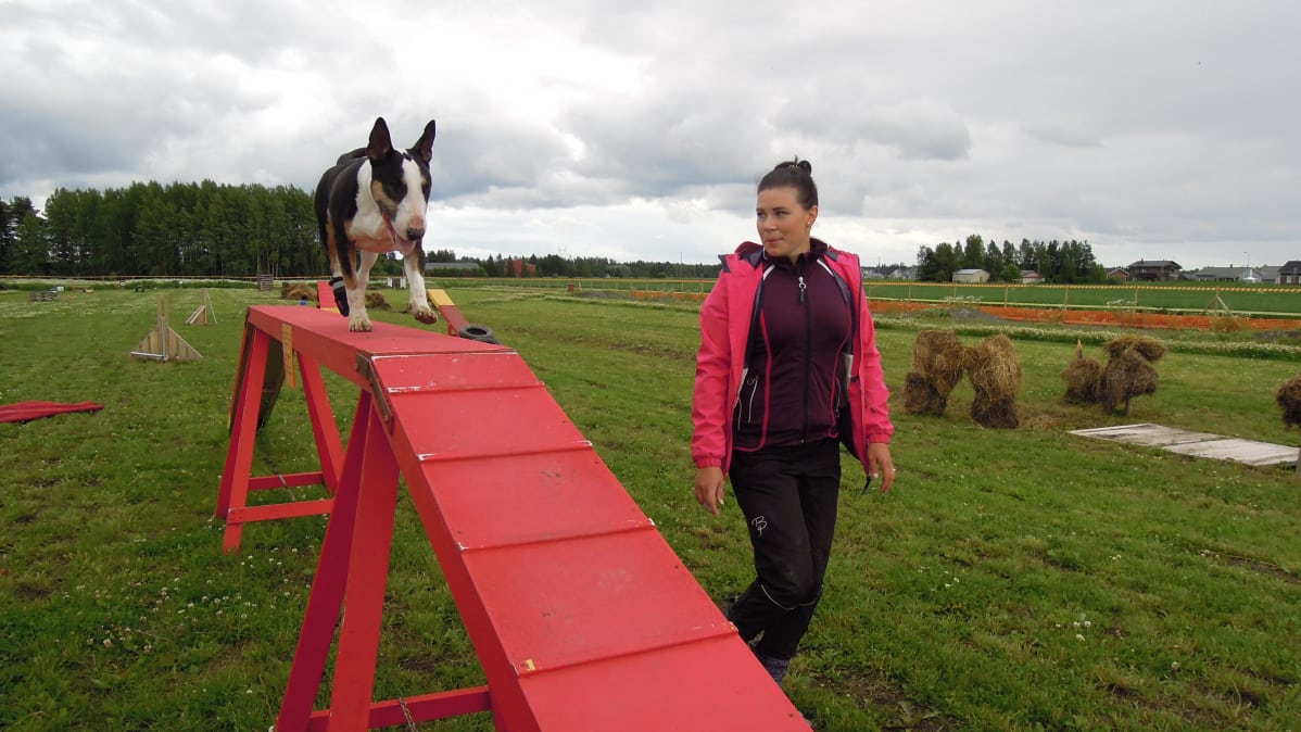 Tiia Kortemaa ja bullterrieri Riesa harrastavat mm. pelastus- ja kaverikoiratoimintaa.