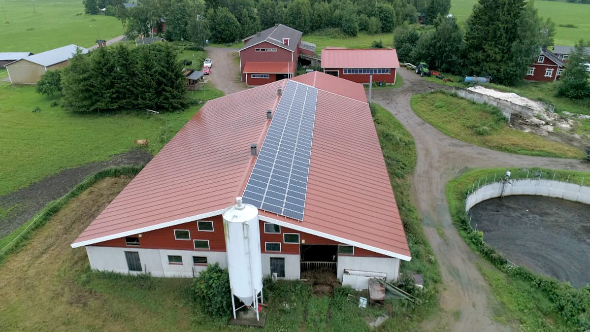 Aurinkopaneeleita navetan katolla.