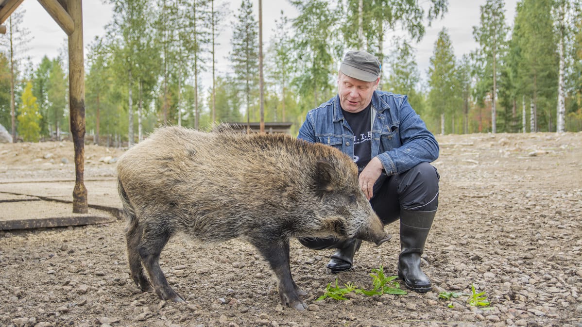 Pekoni ja Veikka Juntunen.