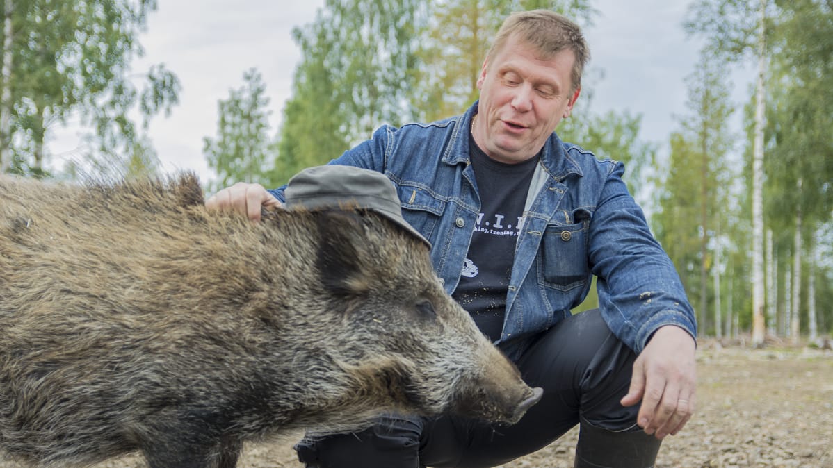 Pekoni ja Veikka Juntunen.