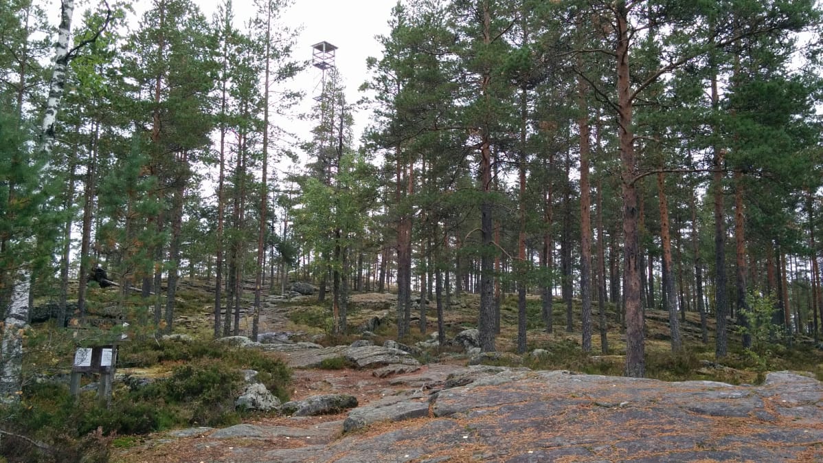 Alajärven Pyhävuorelle pääsee helposti ja siellä on eri pituisia reittejä.