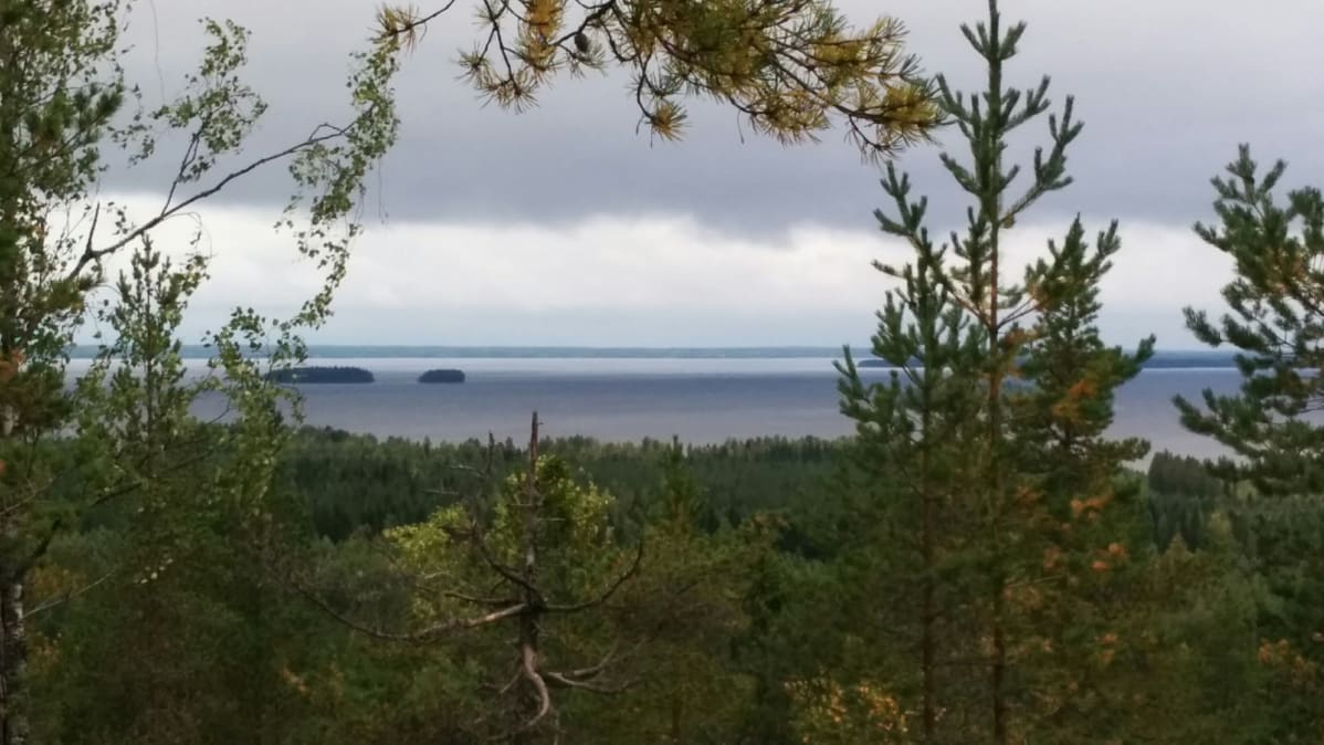 Pyhävuoren huipulta on upeat maisemat Lappajärvelle.