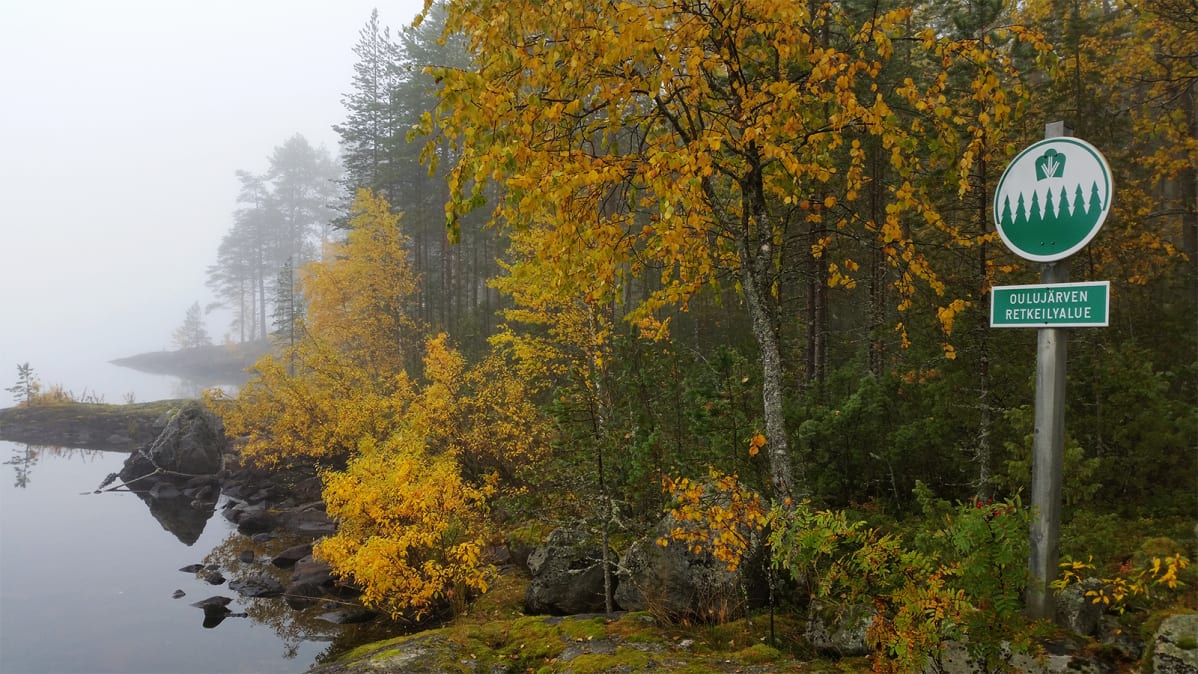Kaarresalon rantaa Oulujärven retkeilyalueella 26.9.2017.
