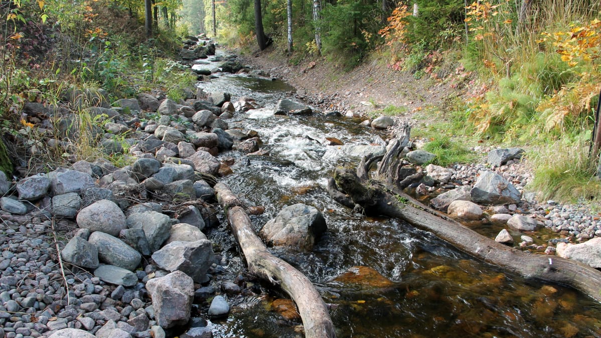 Imatran kaupunkipuro