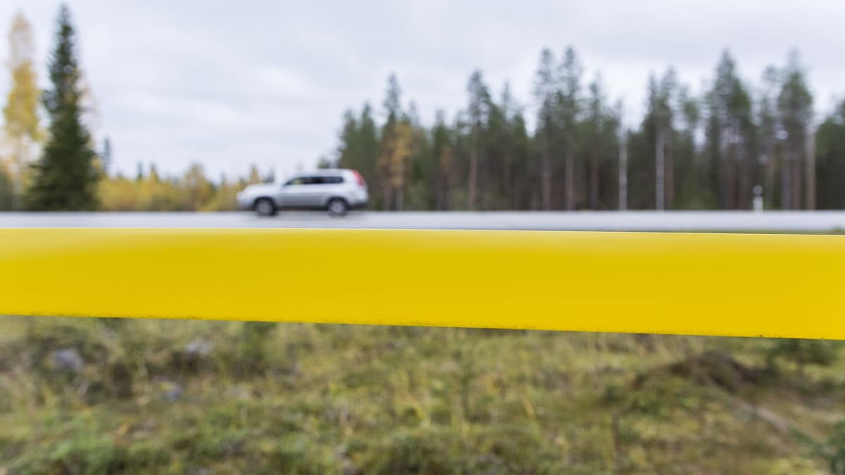 Hirvinauhan takana näkyy tiellä ajava auto.