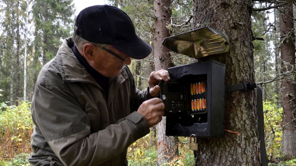 Pentti Myllys vaihtaa riistakameran muistikortin