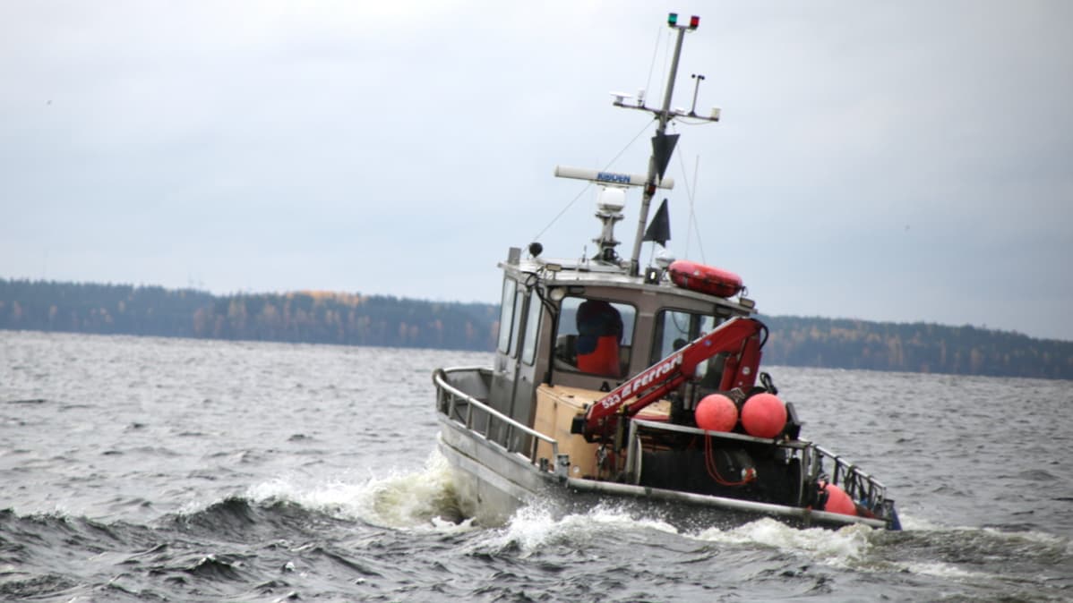saimaa kalastus muikku troolaus lappeenranta troolari
