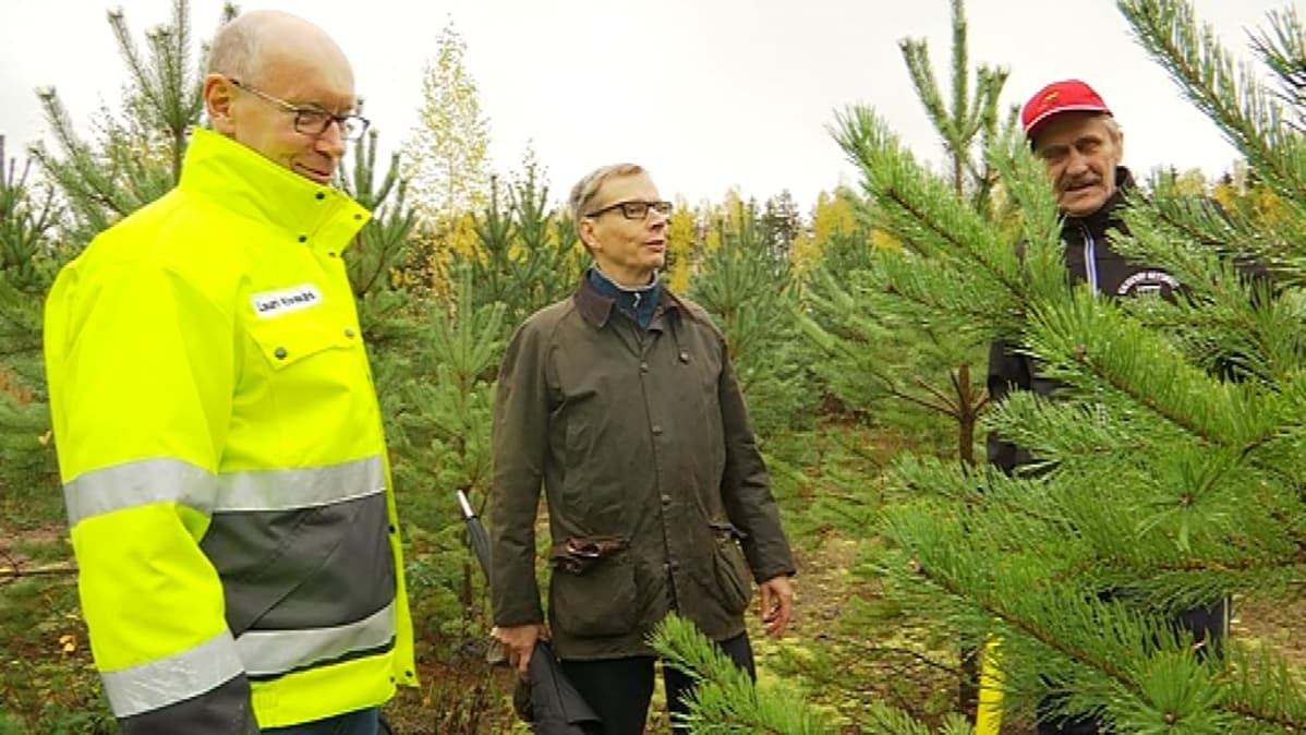Lauri Kivekäs, Pertti Nupponen ja Raimo Laitajoki