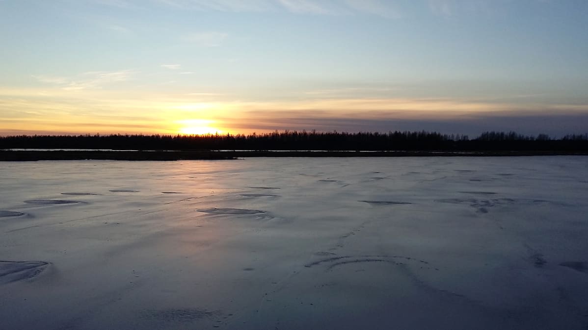 Auringonlasku Kemijoen Marjalammella alkutalvella