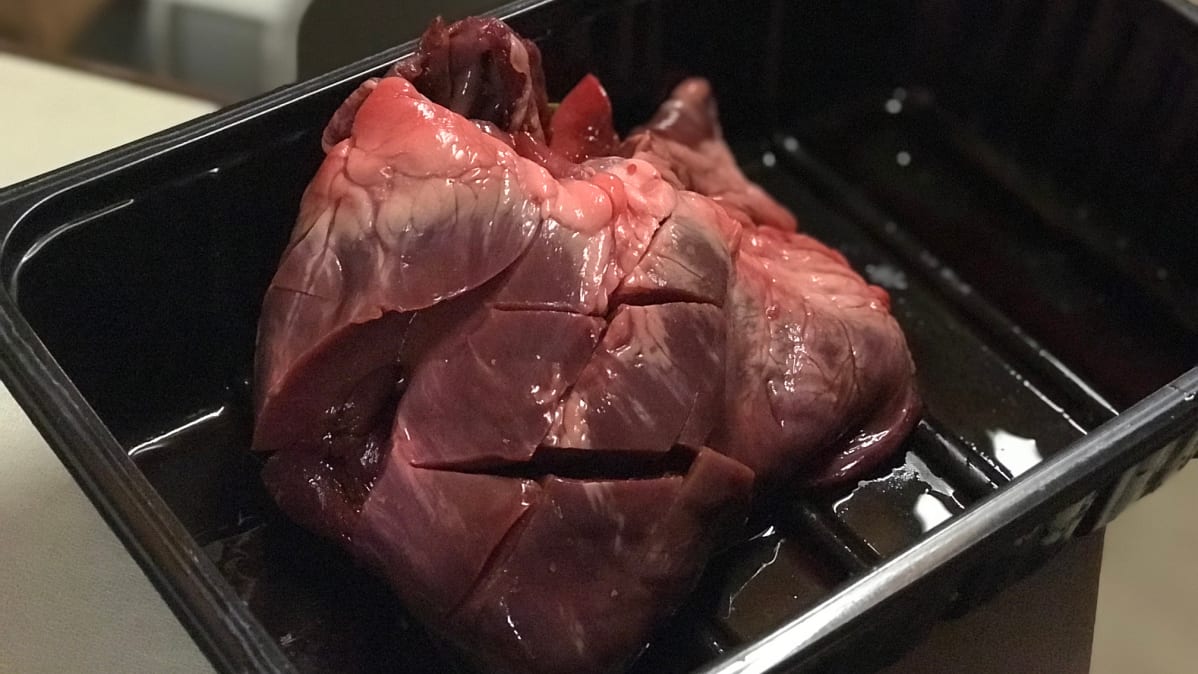 Possunsydäntä maakotkalle