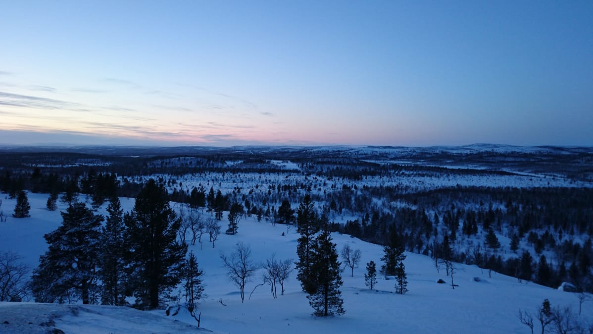 Näätämön erämaa-alueilla on upeat maisemat