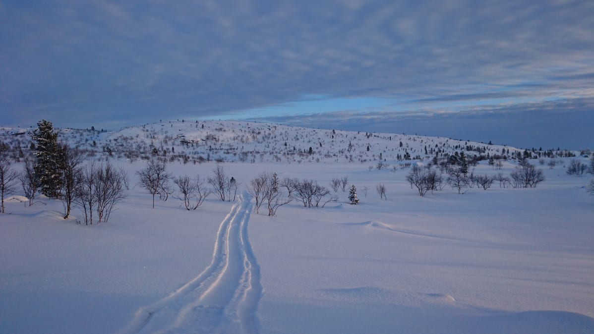Kelkanjäljet hangella
