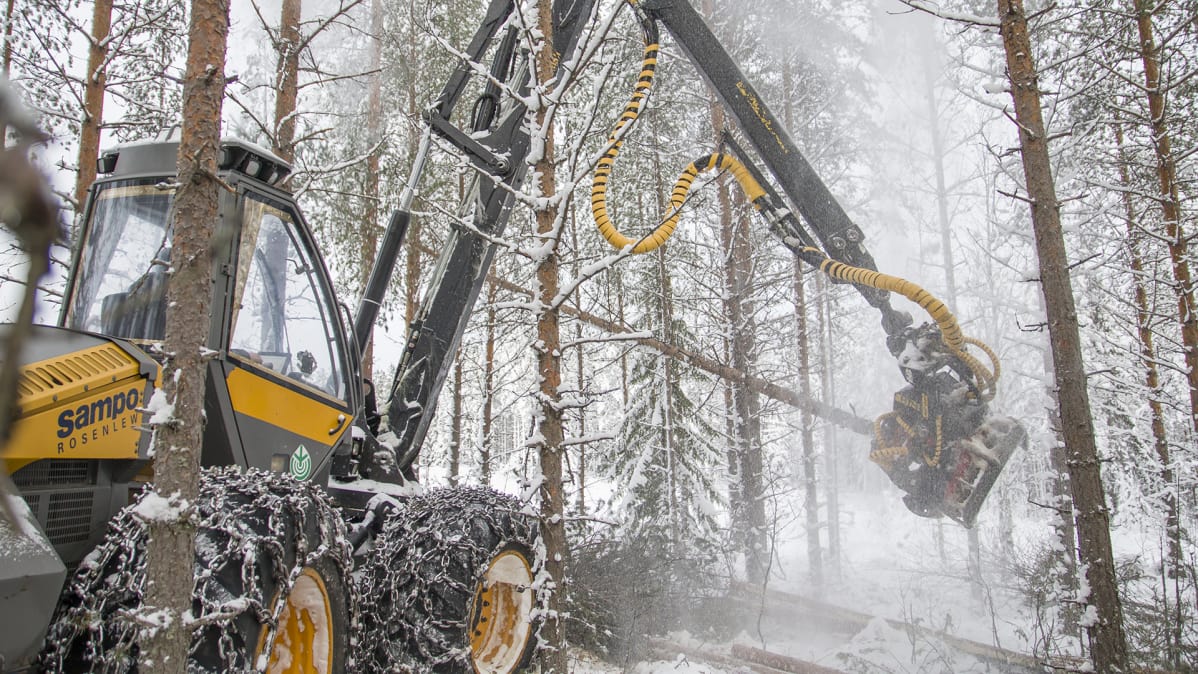 Harvesteri lumisessa metsässä.